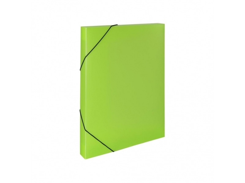 Box na dokumenty plastový Opaline zelený
